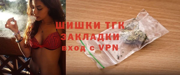 дживик Лагань