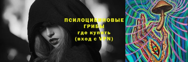 дживик Лагань