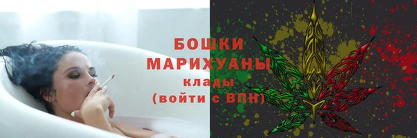 дживик Лагань