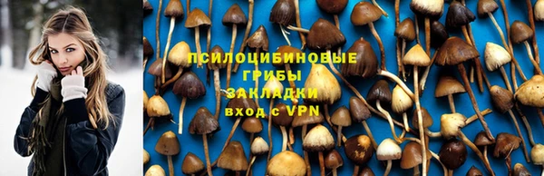 дживик Лагань