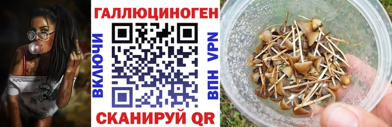 Псилоцибиновые грибы Psilocybine cubensis  Полярный 